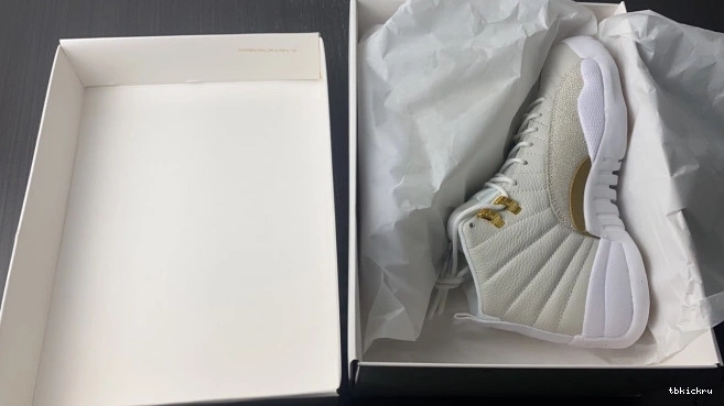 Reps TBkick White Retro 873864-102 12 Jordan OVO 0716